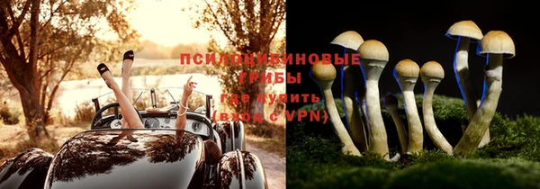 a pvp Алексин