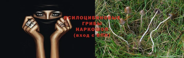 a pvp Алексин