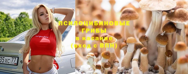 прущая мука Алексеевка
